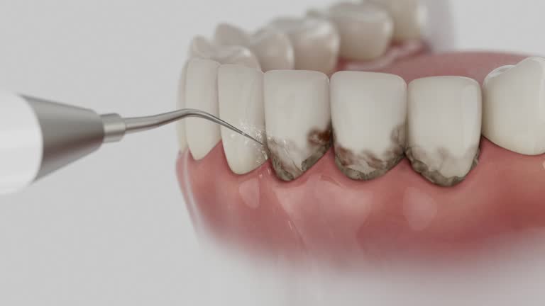 Reliable Dental contractor in South Laurel, MD by Dentist Open Now